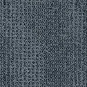 Anderson Tuftex Carpet San Lucas Blustery Sky 00447_ZZ095