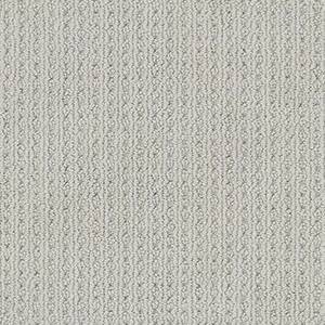 Anderson Tuftex Carpet San Lucas Silverplate 00552_ZZ095