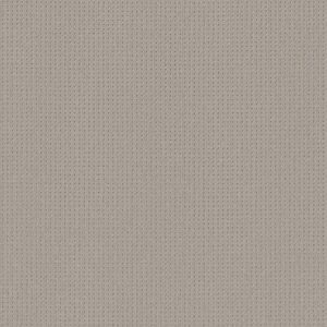 Anderson Tuftex Carpet San Lucas Classic 00571_ZZ095