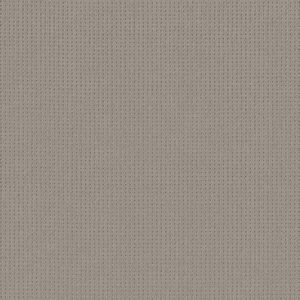 Anderson Tuftex Carpet San Lucas Huskie 00573_ZZ095