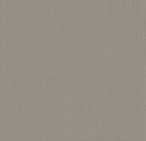 Anderson Tuftex Carpet San Lucas Huskie 00573_ZZ095