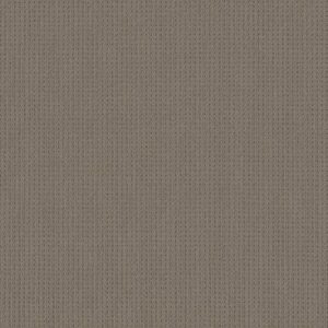 Anderson Tuftex Carpet San Lucas Pewter 00577_ZZ095
