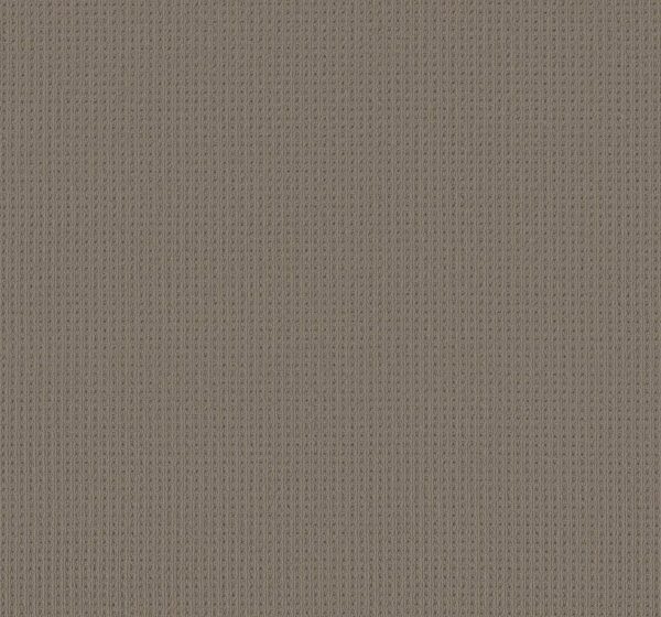 Anderson Tuftex Carpet San Lucas Pewter 00577_ZZ095