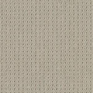 Anderson Tuftex Carpet San Lucas Pavestone 00753_ZZ095