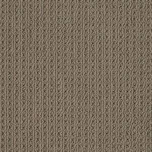 Anderson Tuftex Carpet San Lucas Shingle 00758_ZZ095