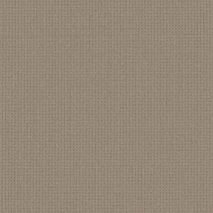 Anderson Tuftex Carpet San Lucas Rockport 00774_ZZ095