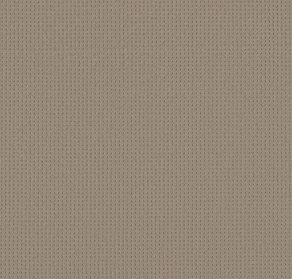 Anderson Tuftex Carpet San Lucas Rockport 00774_ZZ095