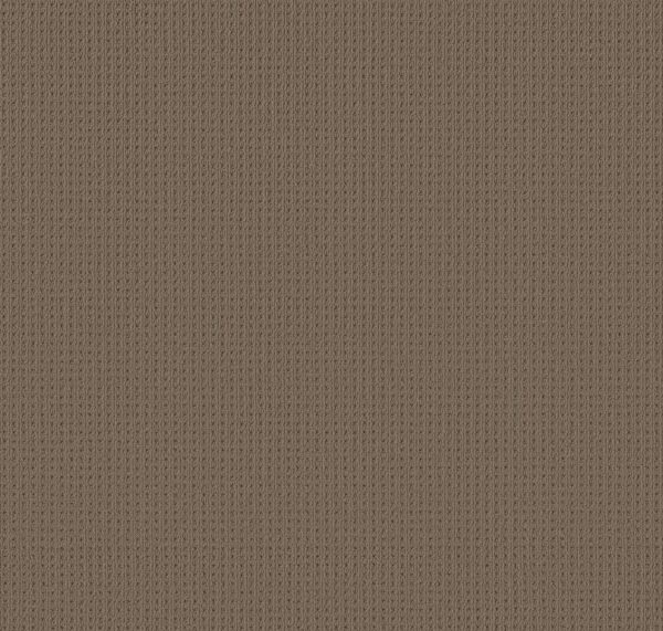 Anderson Tuftex Carpet San Lucas Homestead 00777_ZZ095