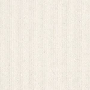 Anderson Tuftex Carpet Dynasty Froth 00120_ZZ096