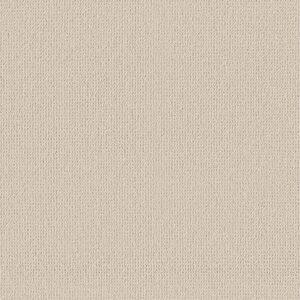 Anderson Tuftex Carpet Purrfection Olympic 00111_ZZ097