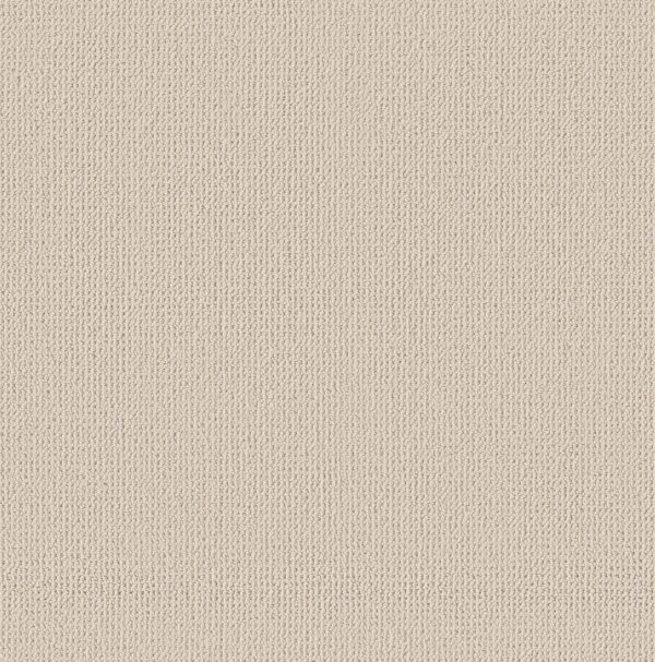 Anderson Tuftex Carpet Purrfection Olympic 00111_ZZ097