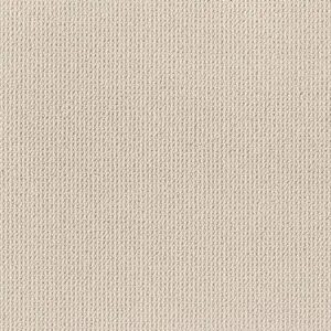 Anderson Tuftex Carpet Purrfection White Sand 00112_ZZ097