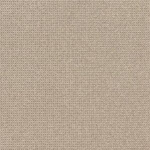 Anderson Tuftex Carpet Purrfection Champagne 00114_ZZ097