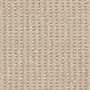 Anderson Tuftex Carpet Purrfection Matchstick 00121_ZZ097