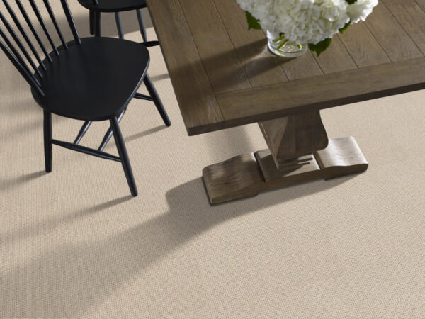 Anderson Tuftex Carpet Purrfection Matchstick 00121_ZZ097 - Image 2