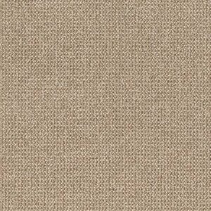Anderson Tuftex Carpet Purrfection Great Plains 00125_ZZ097