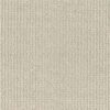 Anderson Tuftex Carpet Purrfection Polar Sky 00143_ZZ097