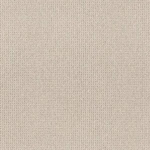 Anderson Tuftex Carpet Purrfection Mocha Cream 00151_ZZ097