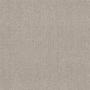 Anderson Tuftex Carpet Purrfection Silver Birch 00543_ZZ097