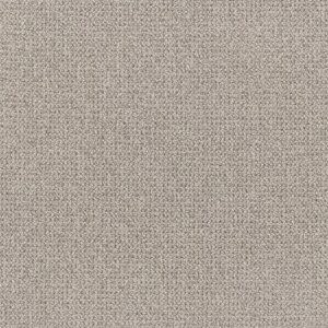 Anderson Tuftex Carpet Purrfection Flagstone 00553_ZZ097
