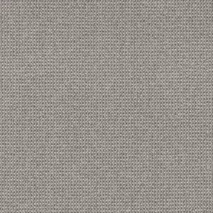 Anderson Tuftex Carpet Purrfection Platinum 00555_ZZ097