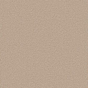 Anderson Tuftex Carpet Fur-Ever Old Country 00122_ZZ218