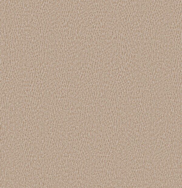 Anderson Tuftex Carpet Fur-Ever Old Country 00122_ZZ218