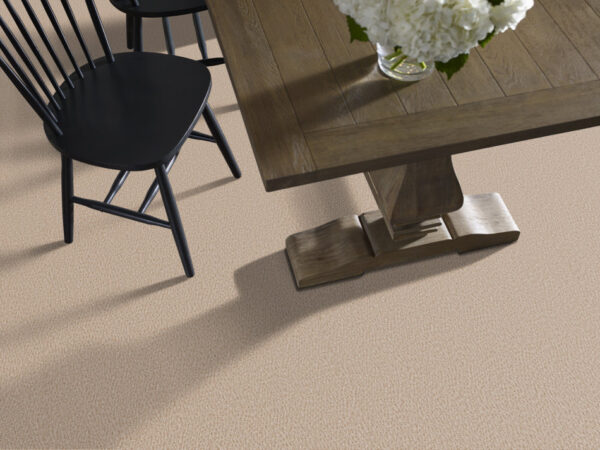 Anderson Tuftex Carpet Fur-Ever Old Country 00122_ZZ218 - Image 2