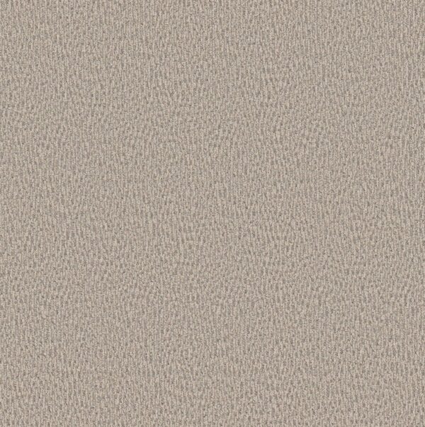 Anderson Tuftex Carpet Fur-Ever Bennington 00152_ZZ218