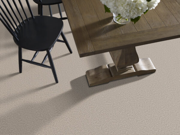 Anderson Tuftex Carpet Fur-Ever Bennington 00152_ZZ218 - Image 2