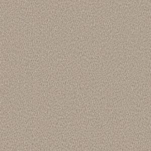 Anderson Tuftex Carpet Fur-Ever Birch 00173_ZZ218
