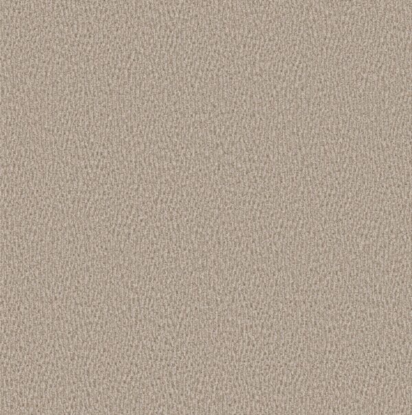 Anderson Tuftex Carpet Fur-Ever Birch 00173_ZZ218