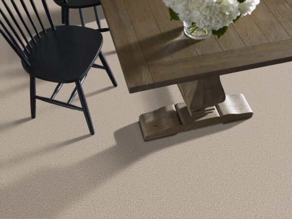 Anderson Tuftex Carpet Fur-Ever Birch 00173_ZZ218 - Image 2