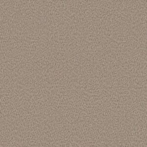 Anderson Tuftex Carpet Fur-Ever Cloud Cover 00252_ZZ218