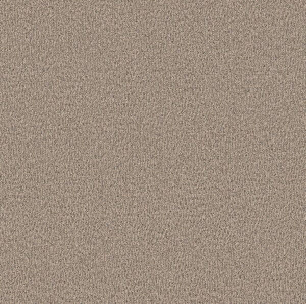 Anderson Tuftex Carpet Fur-Ever Cloud Cover 00252_ZZ218