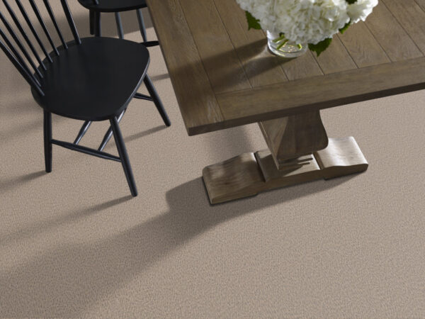 Anderson Tuftex Carpet Fur-Ever Cloud Cover 00252_ZZ218 - Image 2
