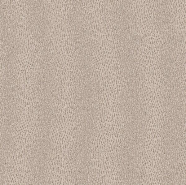 Anderson Tuftex Carpet Fur-Ever Cedar 00272_ZZ218
