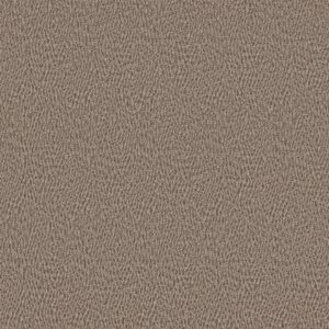 Anderson Tuftex Carpet Fur-Ever Danville 00273_ZZ218