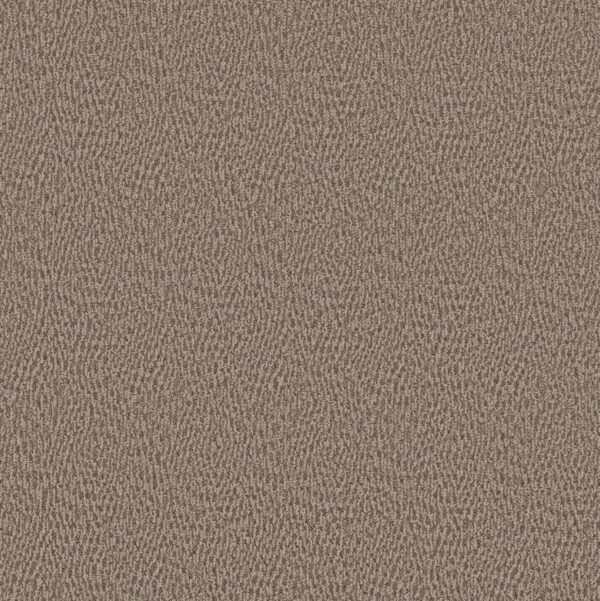 Anderson Tuftex Carpet Fur-Ever Danville 00273_ZZ218