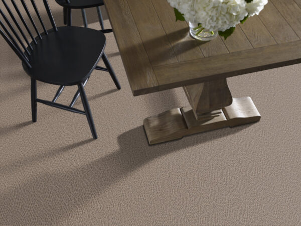 Anderson Tuftex Carpet Fur-Ever Danville 00273_ZZ218 - Image 2