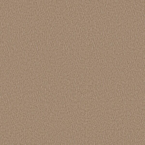 Anderson Tuftex Carpet Fur-Ever Mystic 00274_ZZ218
