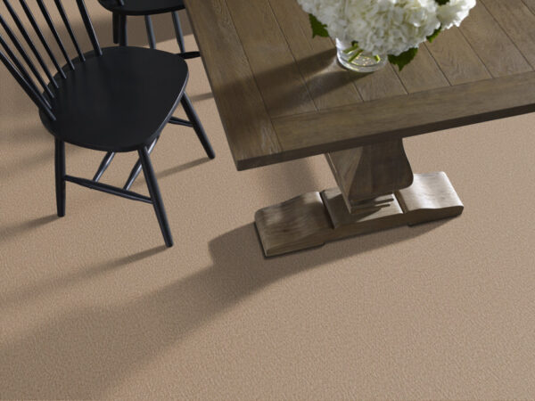 Anderson Tuftex Carpet Fur-Ever Mystic 00274_ZZ218 - Image 2