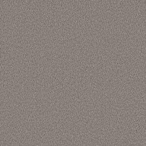 Anderson Tuftex Carpet Fur-Ever Avon 00342_ZZ218