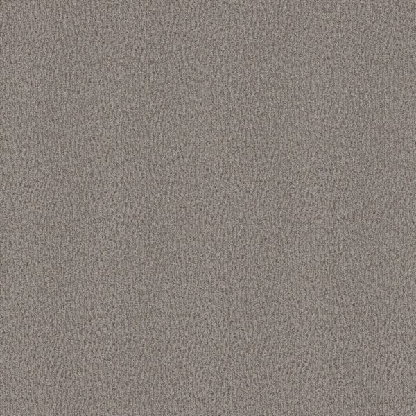 Anderson Tuftex Carpet Fur-Ever Avon 00342_ZZ218