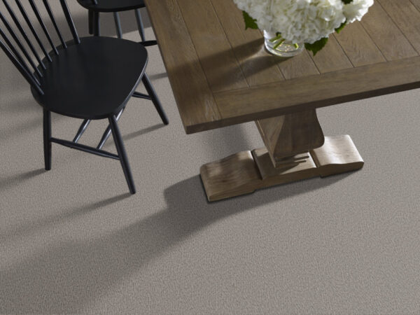 Anderson Tuftex Carpet Fur-Ever Avon 00342_ZZ218 - Image 2