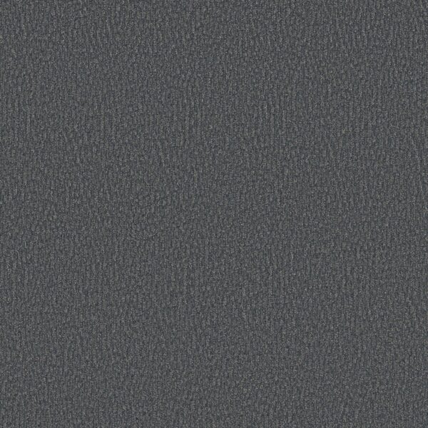 Anderson Tuftex Carpet Fur-Ever Waterbury 00435_ZZ218