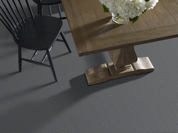 Anderson Tuftex Carpet Fur-Ever Waterbury 00435_ZZ218 - Image 2