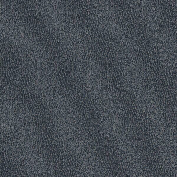 Anderson Tuftex Carpet Fur-Ever Hale Navy 00448_ZZ218