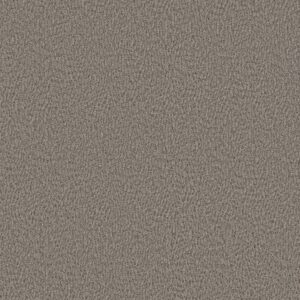 Anderson Tuftex Carpet Fur-Ever Rockport 00556_ZZ218