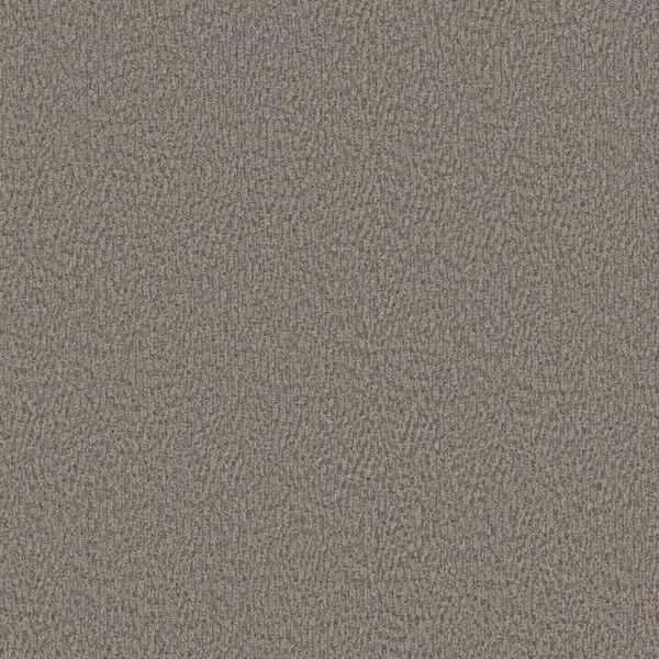 Anderson Tuftex Carpet Fur-Ever Rockport 00556_ZZ218